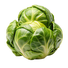 Obraz premium Brussels sprout vegetable image with transparent background