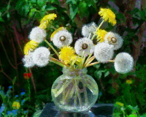 Artistic still life with flowers on a sunlit window