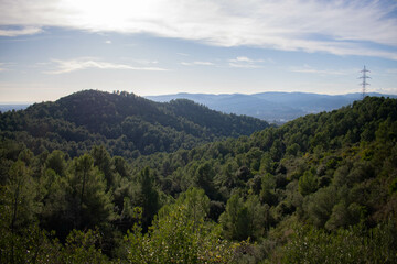 Woody mountains in the mediterranean hills