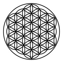 Flower of life Sacred geometry contour outline line icon black color vector illustration image thin flat style