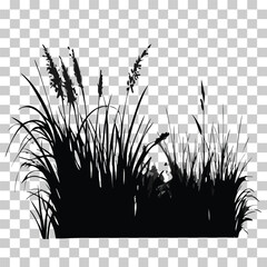Illustration vector of grass silhouette border, meadow springtime, Turf environment decoration element, Prairie black monochrome Background, isolated on transparent background,