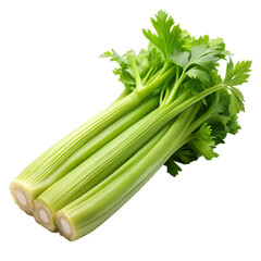 celery image with transparent
