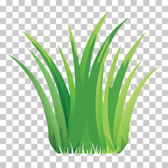 Simple vector illustration of green grass growing upwards, isolated on transparent background