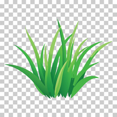 Simple vector illustration of green grass growing upwards, isolated on transparent background