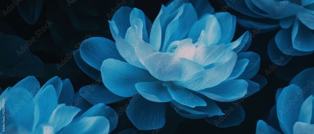 Poster layered petals with a clear center create depth against a black background