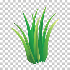 Simple vector illustration of green grass growing upwards, isolated on transparent background