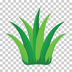 Simple vector illustration of green grass growing upwards, isolated on transparent background