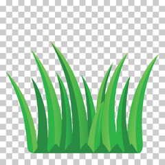 Simple vector illustration of green grass growing upwards, isolated on transparent background
