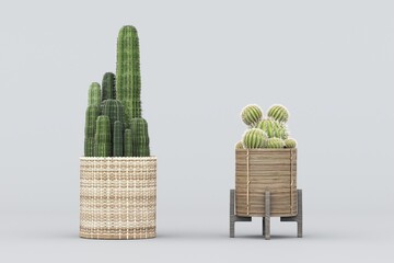 cactus Plant pots in various natural shapes on a white background 3d