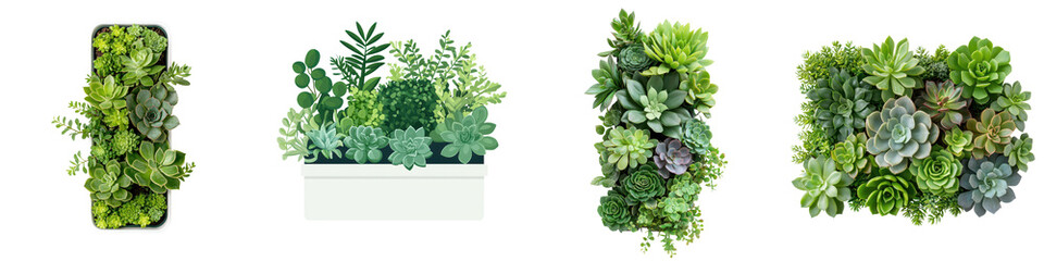 Stunning Vertical Wall Planters with Vibrant Assortment of Lush Greenery and Succulents   Beautiful Nature Inspired Decor for Home Office or Spa Wellness Spaces