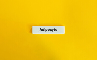 Adipocyte or Fat Cell Word and Banner. Text on Block Letter Tile on Yellow Background. Minimal Aesthetic.