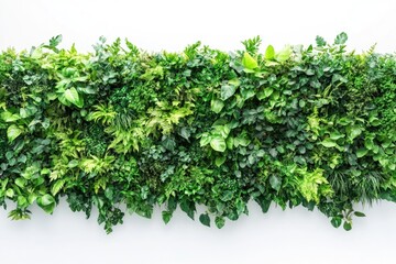 Fototapeta premium A detailed view of a lush plant wall, perfect for offices or homes