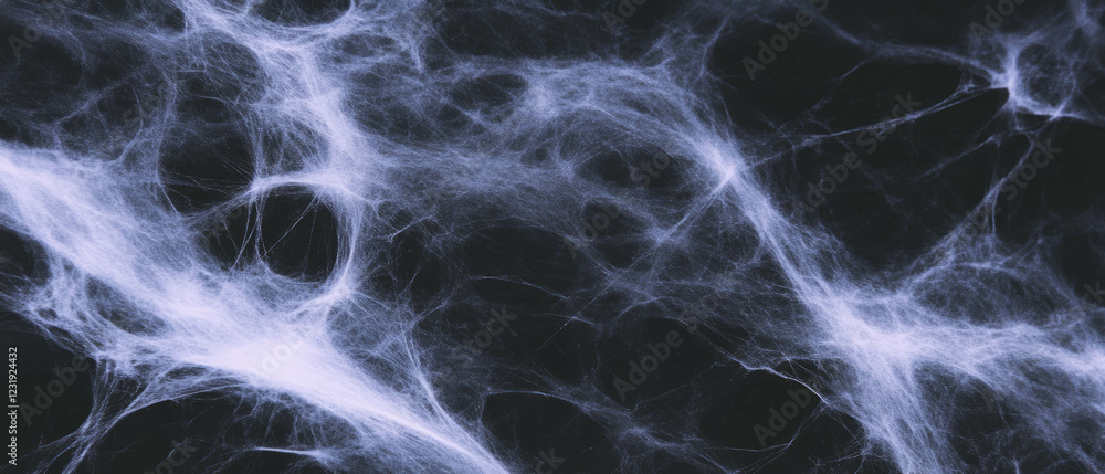 Poster dark textured overlay featuring spider web structure against high contrast backdrop
