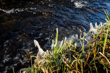 Gras im Eispanzer an einem Bach