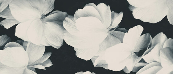 Vintage botanical overlay texture with petal patterns for elegant design presentations