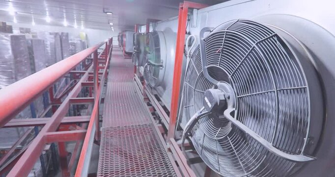 Frozen food and ice cream storage in a modern cold storage warehouse. Large multi-level low temperature warehouse, inside.