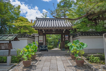 Fototapeta premium 京都 妙心寺 塔頭寺院 退蔵院 