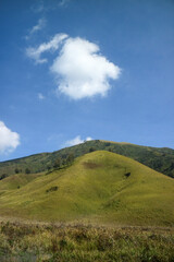 grass savannah with hills and blue sky