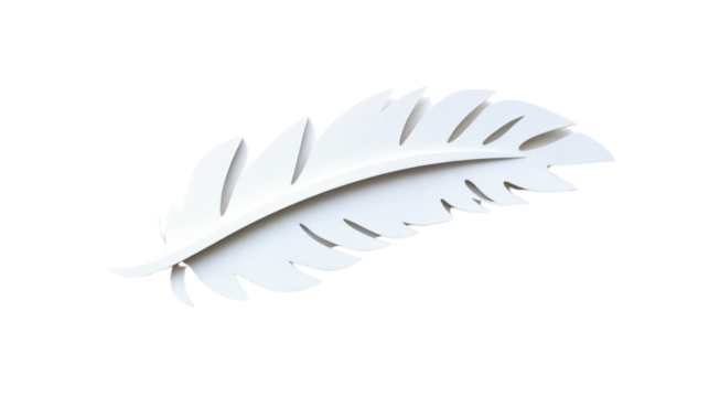 White feather floating on transparent background symbolizing lightness and purity