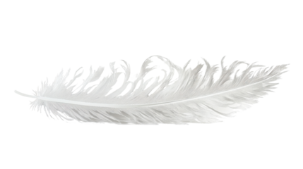 Single white feather floating on transparent background