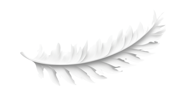 Realistic white bird feather floating on transparent background
