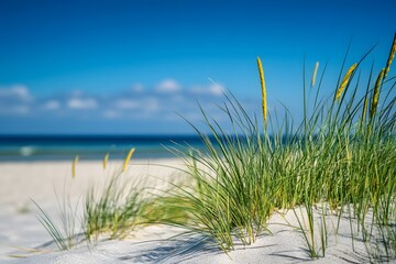 grass on the beach , Generative AI	