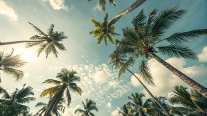 Fototapeta premium Sunny sky framed by vibrant green palm trees in a vacation setting 