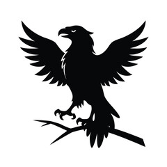 eagle and bird vector illustration