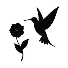 hummingbird and flower vector illustration