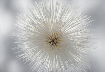 White with subtle radial blur, drawing focus to the center