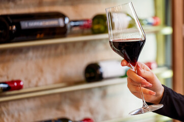 A close-up of a hand holding a red wine glass, with a wine rack in the background showcasing various bottles. The elegant presentation highlights the rich color of the wine.