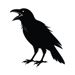 raven on a white background vector illustration