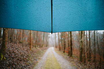Rainy forest scene as seen from under a blue umbrella. Close up shot, water dripping down the umbrella, blurry autumn forest in the background, no people