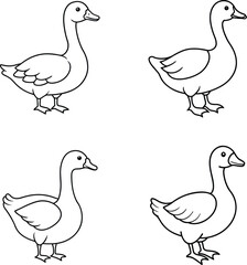 Coloring page book for kids Goose line art illustration.