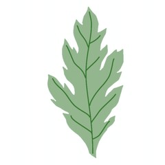 よもぎの葉っぱ