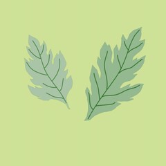 よもぎの葉っぱ