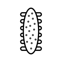 Sea Cucumber Vector Icon