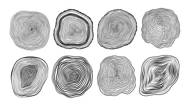Set of linear tree stump prints isolated on white. Wooden silhouette. Wood texture with concentric rings. Black and white wooden annual rings textures. Tree ring pattern. Wood in cross section