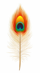 Single vibrant peacock feather against white background; nature detail for design