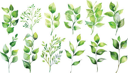 Set of green watercolor leaves on isolated background  © Pixel Park