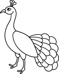 Peacock coloring page useful as coloring book for kids illustration