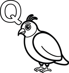 Vector coloring book alphabet with capital letters A for Apple illustration