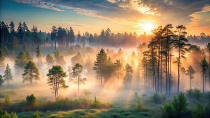 Obraz premium Serene forest at dawn with mist rising from the ground, serene, nature, serene, nature