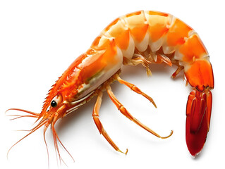 Big shrimp  isolated transparent background. sample for package design.