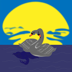 Swans & moon & lake. Vector illustration