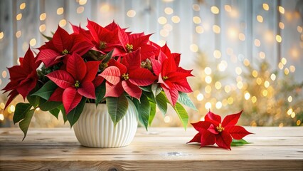 Symmetrical white poinsettias dominate this panoramic winter tabletop arrangement.