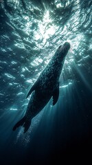 Fototapeta premium HD Phone Wallpaper Leopard Seal Underwater Silhouette Sunbeams Ocean Wildlife Photography