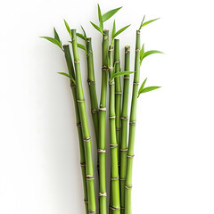 flowers and leaves in pictures illustrator2D