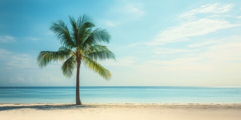 Fototapeta premium A serene beach scene featuring a tall palm tree against a clear blue sky and calm ocean.