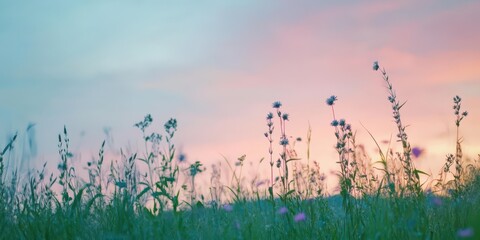Obraz premium A serene field of colorful wildflowers under a sunset sky.